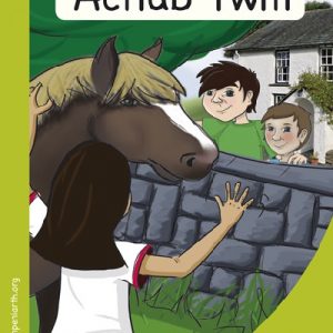 Mêts Maesllan: Achub Twm