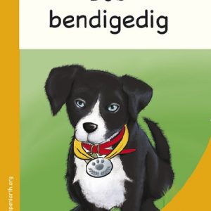 Mêts Maesllan: Bob Bendigedig