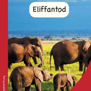 Mêts Maesllan: Eliffantod