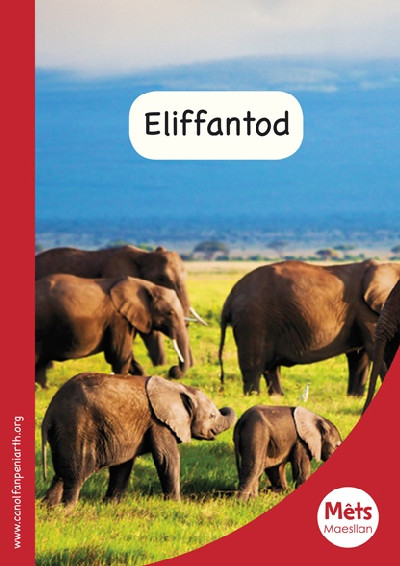 Mêts Maesllan: Eliffantod