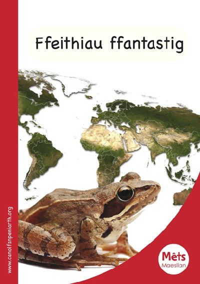 Mêts Maesllan: Ffeithiau Ffantastig