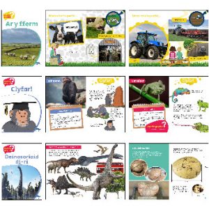 Wyt Ti'n Gwybod - Pecyn 1