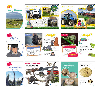 Wyt Ti'n Gwybod - Pecyn 1