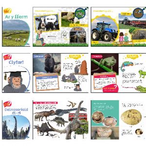 Wyt Ti'n Gwybod - Pecyn 2