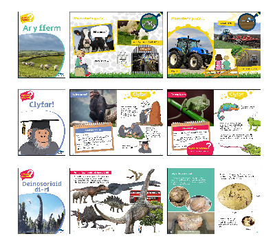 Wyt Ti'n Gwybod - Pecyn 2