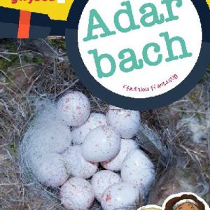 Cyfres Wyt Ti'n Gwybod?: Adar Bach