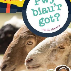 Cyfres Wyt Ti'n Gwybod?: Pwy Biau'r Got?