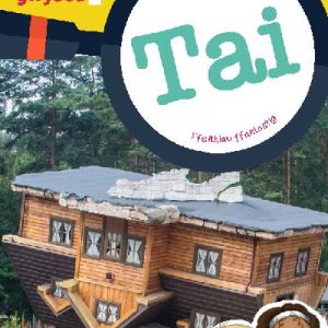 Cyfres Wyt Ti'n Gwybod?: Tai