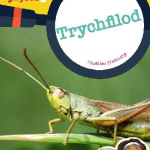 Cyfres Wyt Ti'n Gwybod?: Trychfilod