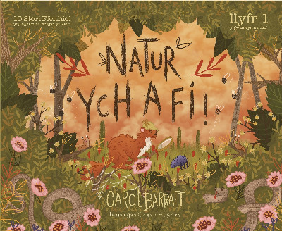 Natur Ych a Fi