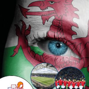Cyfres Cnoi Cil: Cymru a'r Bêl Gron (pecyn)