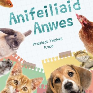 Cyfres Archwilio'r Amgylchedd: Anifeiliaid Anwes