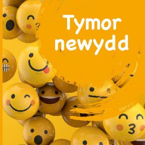 Mêts Maesllan 2 - Tymor Newydd