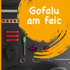 Mêts Maesllan 2 - Gofalu am Feic