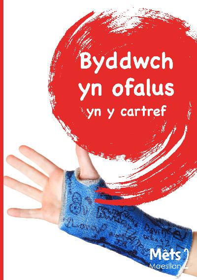 Mêts Maesllan 2 - Byddwch yn Ofalus yn y Cartref