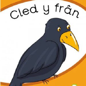 Tric a Chlic: Cam 2 - 6 x Cnoc Cnoc