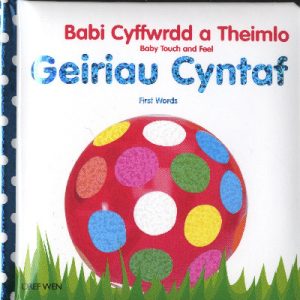 Babi Cyffwrdd a Theimlo/Baby Touch and Feel: Geiriau Cyntaf/First Words