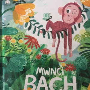 Mwnci Bach / Little Monkey