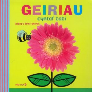 Geiriau Cyntaf Babi / Baby's First Words