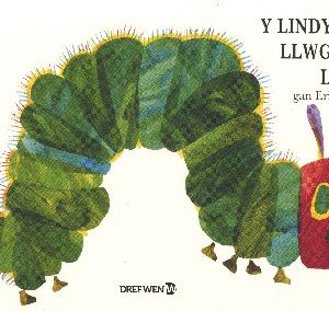 Lindysyn Llwglyd Iawn, Y / Very Hungry Caterpillar, The