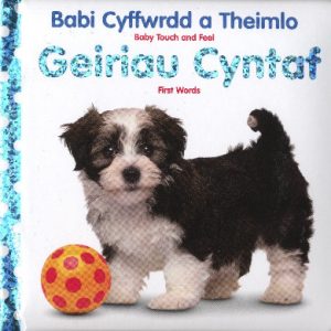 Babi Cyffwrdd a Theimlo: Geiriau Cyntaf / Baby Touch and Feel: First Words