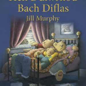 Hen Ddiwrnod Bach Diflas