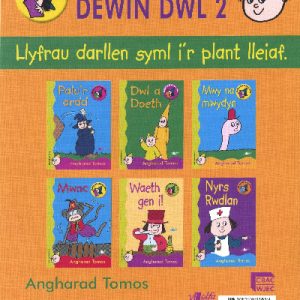 Cyfres Darllen Mewn Dim:Cam Dewin Dwl 2-Pecyn