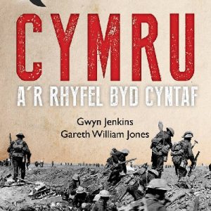 Stori Sydyn: Cymru a'r Rhyfel Byd Cyntaf