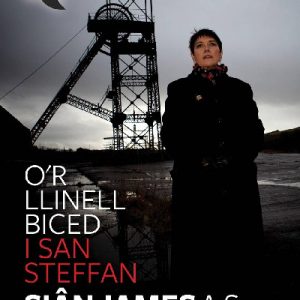 Stori Sydyn: O'r Llinell Biced i San Steffan