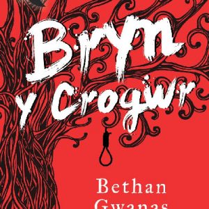 Stori Sydyn: Bryn y Crogwr
