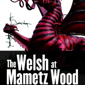 Welsh at Mametz Wood, The Somme 1916, The