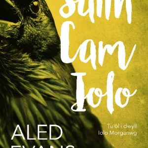 Saith Cam Iolo - Tu ôl i Dwyll Iolo Morganwg