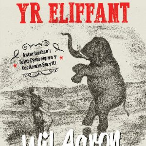 Poeri i Lygad yr Eliffant - Anturiaethau'r Saint Cymreig yn y Gorllewin Gwyllt