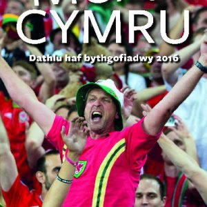Merci Cymru - Dathlu Haf Bythgofiadwy 2016