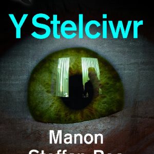 Stori Sydyn: Y Stelciwr