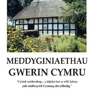 Meddyginiaethau Gwerin Cymru