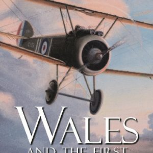 Wales and the First Air War