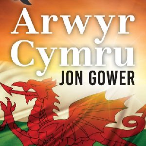 Stori Sydyn: Arwyr Cymru