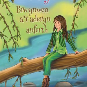 Cyfres Maes y Mes: Brwynwen a'r Aderyn Anferth