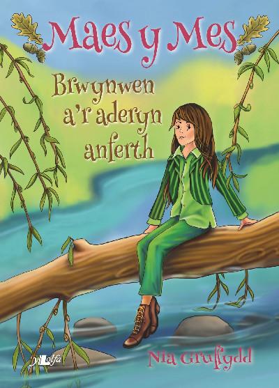 Cyfres Maes y Mes: Brwynwen a'r Aderyn Anferth