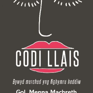 Codi Llais