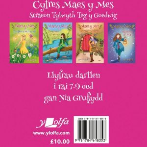 Pecyn Cyfres Maes y Mes