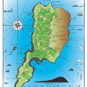 Map Ynys Enlli / Bardsey Island Map
