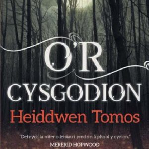 O'r Cysgodion - Casgliad o Straeon Byrion