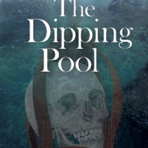 Nanteos: The Dipping Pool