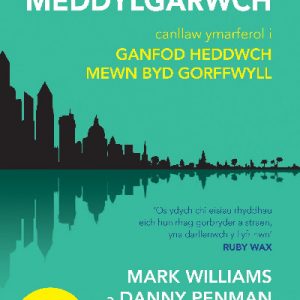 Darllen yn Well: Meddylgarwch - Canllaw Ymarferol i Ganfod Heddwch Mewn Byd Gorffwyll