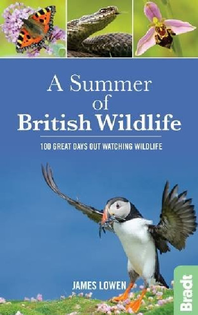 Summer of British Wildlife, A - 100 Great Days out Watching Wildlife