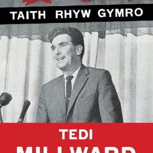 Taith Rhyw Gymro