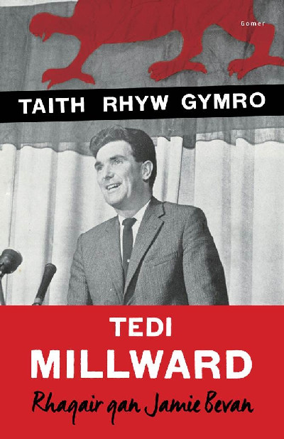 Taith Rhyw Gymro