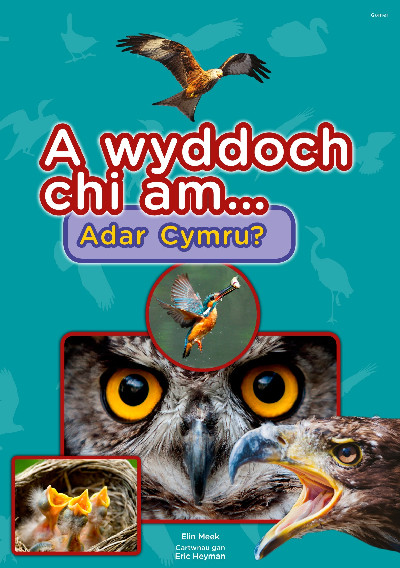 Cyfres a Wyddoch chi: A Wyddoch Chi am Adar Cymru?